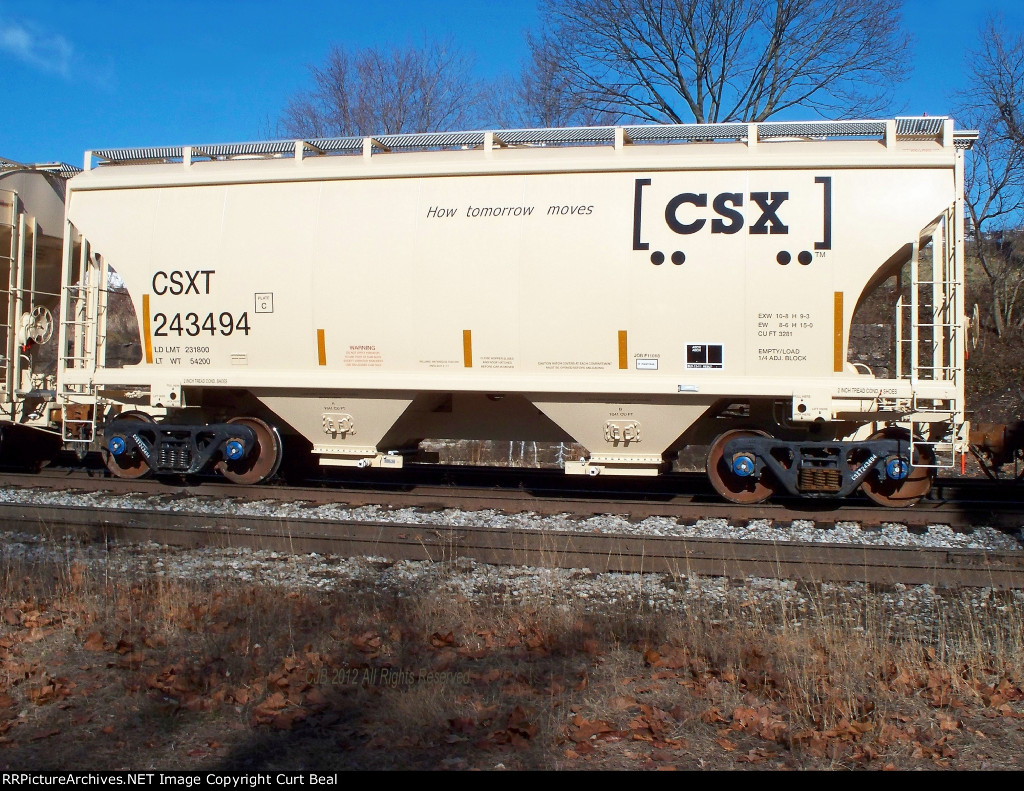 CSX 243494